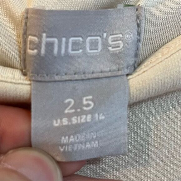 Chico's Women's Paisley Print Sheath Dress Size 14 Knee Length Casual - Picture 3 of 6